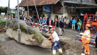 I dovra sugas fermas