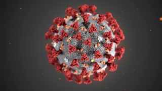 Causa coronavirus era nagina festa dal 1. d'avust