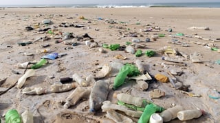 rument da plastic sper la mar