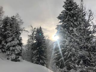 Cuntrada enviern