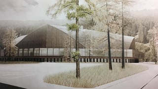 Visualisaziun dal stadion suenter la renovaziun. Visualisaziun dal stadion suenter la renovaziun.
