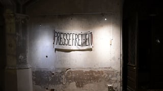 Purtret d'in placat cun scrit si «Pressefreiheit».