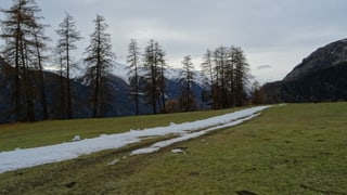 Loipa tras in prà Loipa tras in prà