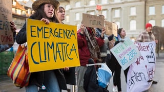 Giuvenils che demonstreschan per il clima.