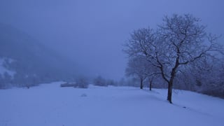 Cuntrada d'enviern Cuntrada d'enviern