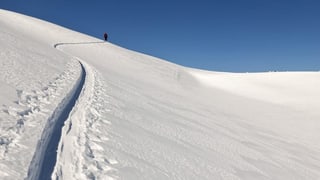Fastizs d'in skiunz da turas.