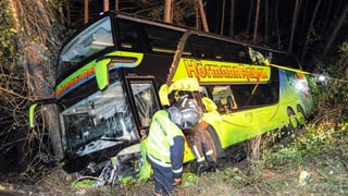 Purtret dal bus che giascha en ina scarpa. 