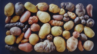 tartuffels dal bain Las Sorts. tartuffels dal bain Las Sorts.