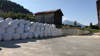 Ballas da silo davant pauraria.