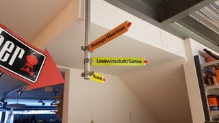 Purtret da l'intern da la stizun a Glion
