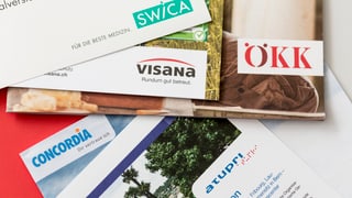 Broschuras da differentas cassas da malsauns sin maisa
