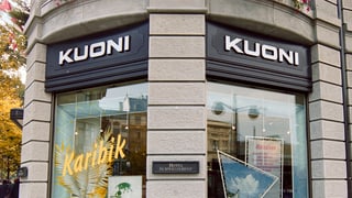 Finiastras d'in biro da viadi Kuoni.
