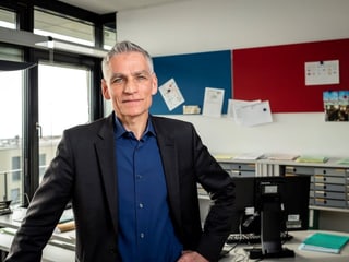 Markus Schwyn, il vicedirectur dal BfS e manader da la partiziun populaziun e furmaziun. Markus Schwyn, il vicedirectur dal BfS e manader da la partiziun populaziun e furmaziun.