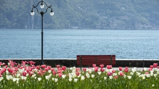 Banc vid dasper in lai da bell'aura.