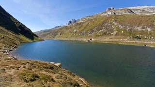 Purtret dal Pass dal Alpsu. 