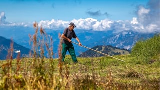 In pur da muntogna vi da far il fain. 