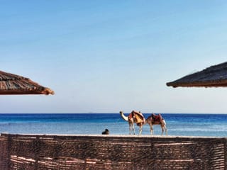 Ägypten