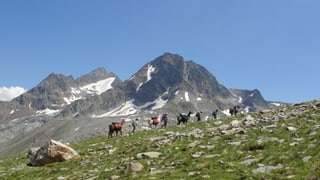 In trekking en la regiun 