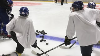 Maletg simbolic hockey regiunal