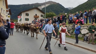 Vatgas brinas, per part cun flurs sin il tgau seguan ad in pèr en costums.
