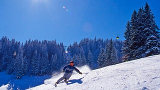 In skiunz en la regiun turistica da Partenz.