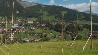 Profils da bajegiar sin in prà.