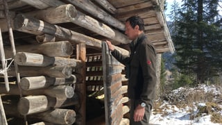 Il guardiaselvaschina Armando Janett avant ina tegia da pavlar en il Surses che na vegn betg pli duvrada. Il guardiaselvaschina Armando Janett avant ina tegia da pavlar en il Surses che na vegn betg pli duvrada.
