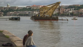 bartga cun crana sin il Danubi