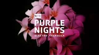 Purple Nights