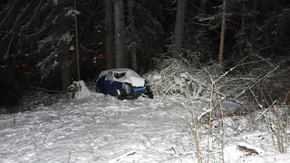 Auto donnegià a l'ru dal guaud. 