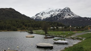creista, malögia