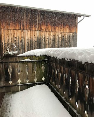 Purtret da naiv sin in balcon.