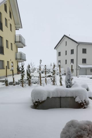 Purtret da naiv ad Andermatt.