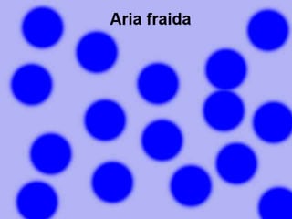 Aria fraida Aria fraida