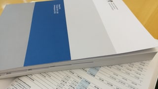 Il maletg mussa il rapport da passa 300 paginas. Il maletg mussa il rapport da passa 300 paginas.