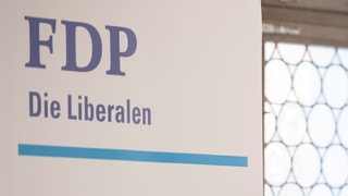 Logo FDP.