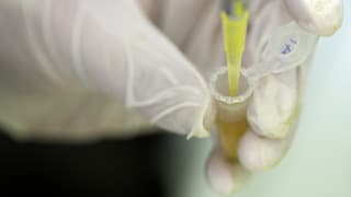 In maun cun guants sterils che tegn in vaccin