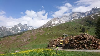 La lavina è vegnida giu da la costa dal Cavistrau pign (2. piz da dretg).