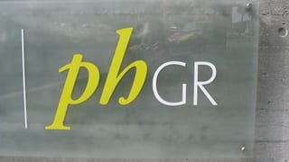 Il logo da la scola vi d'in mir. 