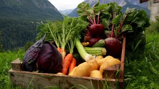 ina carton cun verduras.