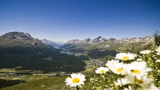 Vista sin l'Engiadin'Ota davent da Muottas Muragl (a sinistra Puntraschigna, a dretga Schlarigna e San Murezzan)