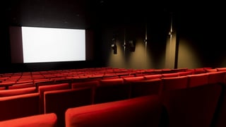 Purtret d'in kino, da vesair èn las sutgas cotschnas e davant la paraid alva. 