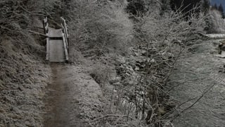 Ina punt per il peduns sper il Rain en la Ruinaulta Ina punt per il peduns sper il Rain en la Ruinaulta