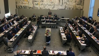 Purtret das deputads e las deputadas che sesan vid lur plazs. Purtret das deputads e las deputadas che sesan vid lur plazs.