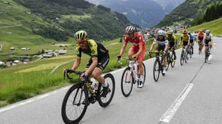 Velocipedists da cursa durant il Tour de Suisse 2020.