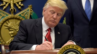 Il president american Donald Trump.