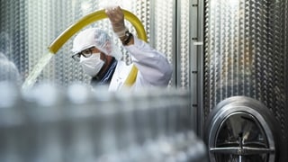 Producziun d'etanol en ina destillaria. 