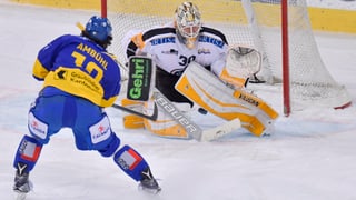 In giugader da hockey cun in tricot blau davant la porta dal goli cun in tricot alv. L’attatgader sajetta il disc ed il goli emprova da franar quel.