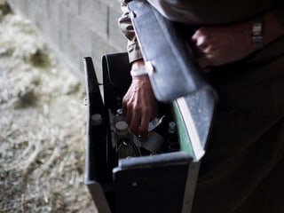 Er tar la medischina d'animals ston ils veterinaris reducir il diever d'antibiotica. Er tar la medischina d'animals ston ils veterinaris reducir il diever d'antibiotica.