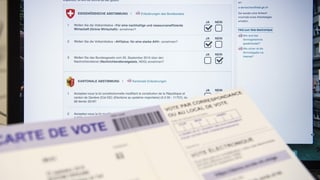 Sistem da votar a moda electronica dal chantun Genevra.